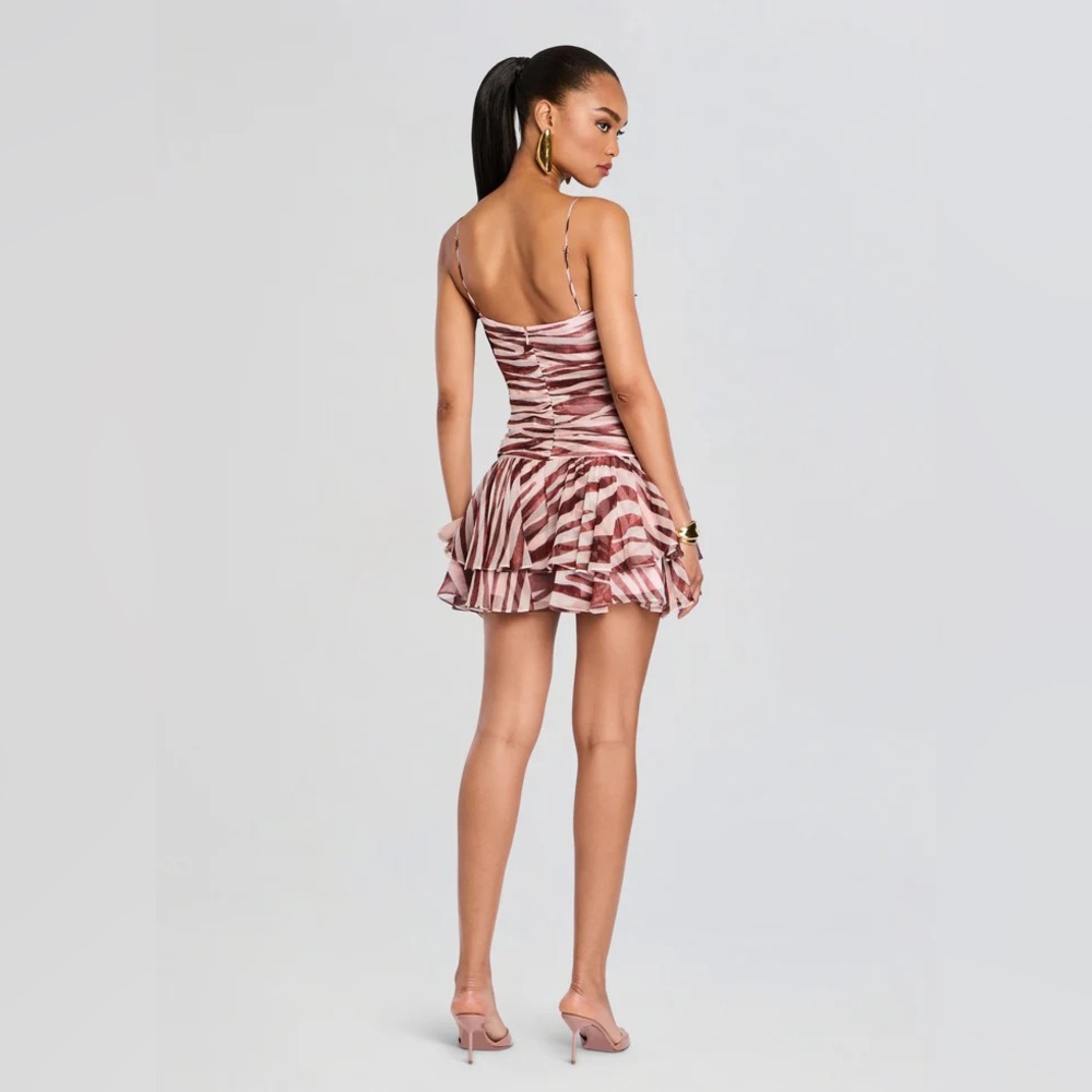 Retrofête Shaniece Dress in Earl Rose Zebra - Picture 5 of 16